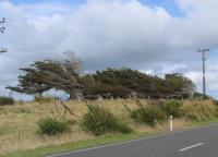 Albums/20060200-New Zealand 2006/20060212-south/3